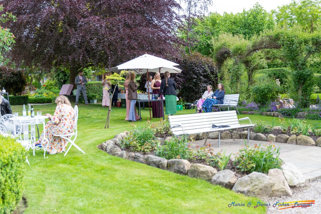 reception maria denes