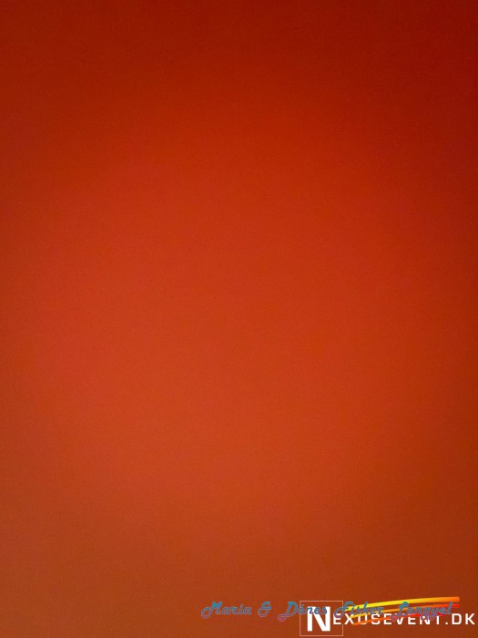 selfie maria denes
